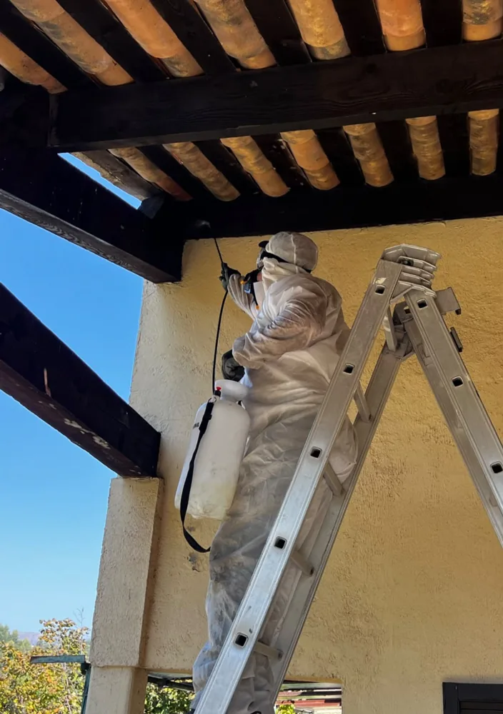 Traitement de toiture sous l'avancée de toit — KLS Rénovation, couvreur dans les Alpes-Maritimes (06)